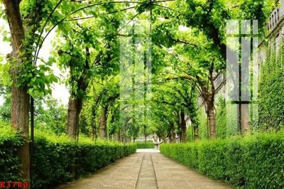 File in mica File gốc in tranh tổng hợp K3780 (ảnh gốc) đẹp