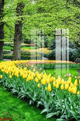 File tranh File gốc in tranh tổng hợp K3802 (ảnh gốc) in trần xuyên sáng