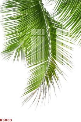 File tranh File gốc in tranh tổng hợp K3803 (gốc) in trên kính