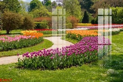 File ảnh gốc File gốc in tranh tổng hợp K3817 (chuyên in mica)