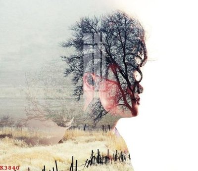 Tải file gốc File gốc in tranh tổng hợp K3840 (in khổ lớn) không vỡ