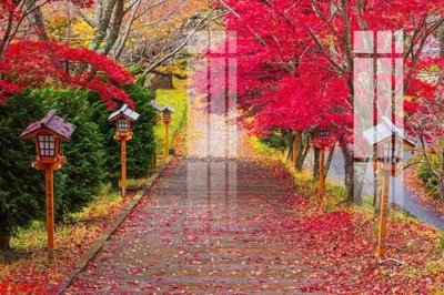 File gốc in tráng gương File gốc in tranh tổng hợp K3851 chi tiết