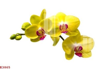 File gốc File gốc in tranh tổng hợp K3865 (in 3D) cho trang trí