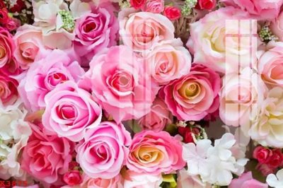 Tải file File gốc in tranh tổng hợp K3875 (PSD) cho in ấn quảng cáo