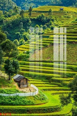 Mua file gốc File gốc in tranh tổng hợp K3876 (chất lượng) tại Filetranh.com