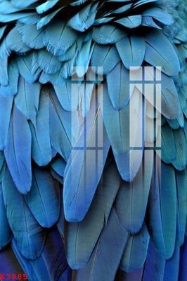 Download file gốc File gốc in tranh tổng hợp K3885 (in lụa) nghệ thuật