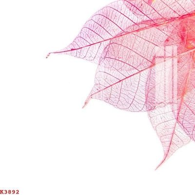 File tranh File gốc in tranh tổng hợp K3892 (gốc) phong cách tối giản