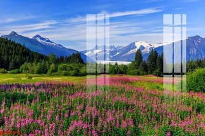 File PSD in ấn File gốc in tranh tổng hợp K3893 (chất lượng cao)