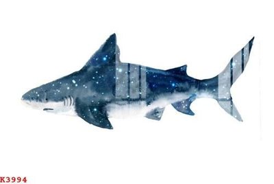 File in trần File gốc in tranh tổng hợp K3994 (bản gốc) trời sao