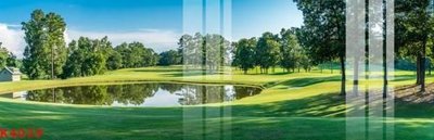 File in trần File gốc in tranh tổng hợp K4029 (bản gốc) 5D