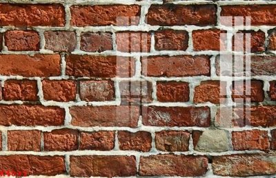 File tranh File gốc in tranh tổng hợp K4031 (gốc) in backlit film