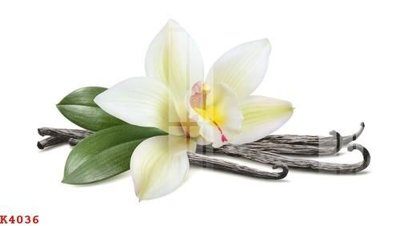 File PSD File gốc in tranh tổng hợp K4036 (nguyên gốc) chất lượng cao