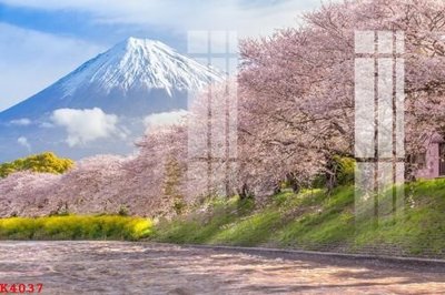 File PSD File gốc in tranh tổng hợp K4037 (bản gốc) chất lượng nhất