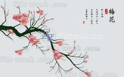 File in trần File gốc in tranh tổng hợp tường nền K40615 (bản gốc) mây trời