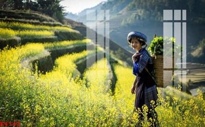 File tranh trang trí File gốc in tranh tổng hợp K4142 (tải file gốc)