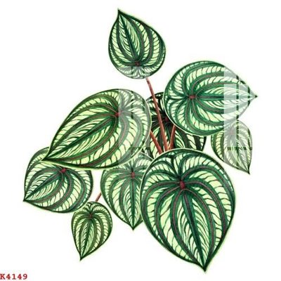 Tải file File gốc in tranh tổng hợp K4149 (ảnh gốc) in tranh kính