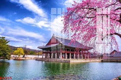 File gốc File gốc in tranh tổng hợp K4155 (in mica) cắt laser