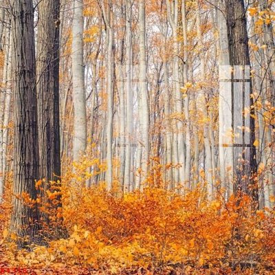 File ảnh File gốc in tranh tổng hợp K4318 (gốc) in Hiflex