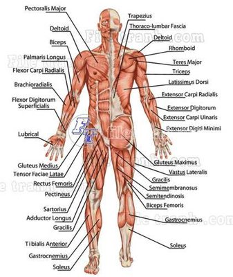 Tải file File gốc in tranh tổng hợp tường nền K43618 (gốc) chủ đề tôn giáo