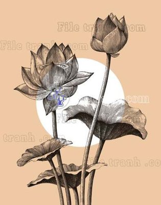 Tải file gốc File gốc in tranh tổng hợp tường nền K43684 (in khổ lớn) không vỡ