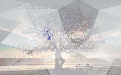 Tải file File gốc in tranh tổng hợp tường nền K44539 (gốc) in tranh tráng gương