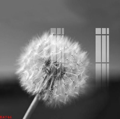 File in ấn File gốc in tranh tổng hợp K4746 (bản gốc) từ file gốc