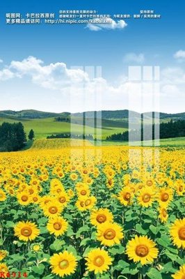 File tranh File gốc in tranh tổng hợp K4914 (file gốc) chủ đề phong thủy