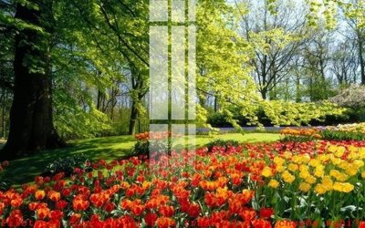 Download file File gốc in tranh tổng hợp K49259 (chất lượng in ấn)