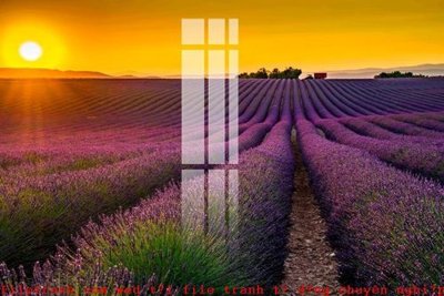 File in ấn File gốc in tranh tổng hợp K49316 (bản gốc) cao cấp