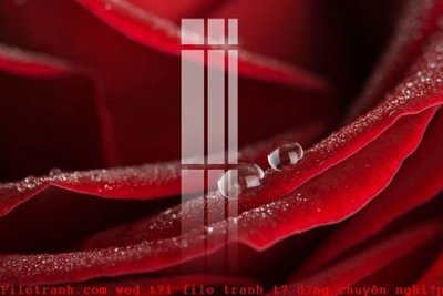 Download file gốc File gốc in tranh tổng hợp K49354 (in mica) logo