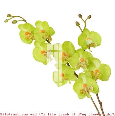 Download file gốc File gốc in tranh tổng hợp K49392 (in mica) trang trí