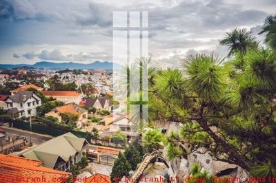 File in trần File gốc in tranh tổng hợp K49436 (bản gốc) 5D