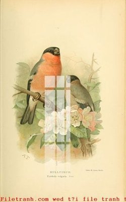 Mua file gốc File gốc in tranh tổng hợp K49890 (PSD) tại Filetranh.com