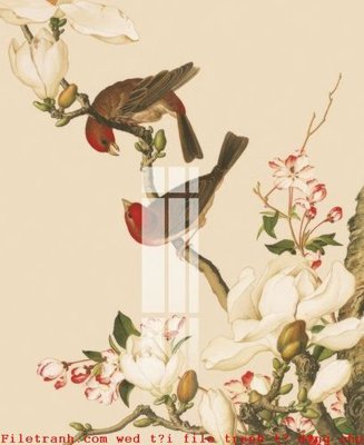 Tải file File gốc in tranh tổng hợp K50057 (gốc) in ấn chất lượng