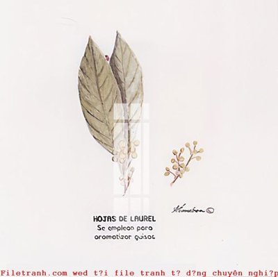 Tải file File gốc in tranh tổng hợp K50308 (ảnh gốc) 300dpi File gốc in tranh tổng hợp K50308