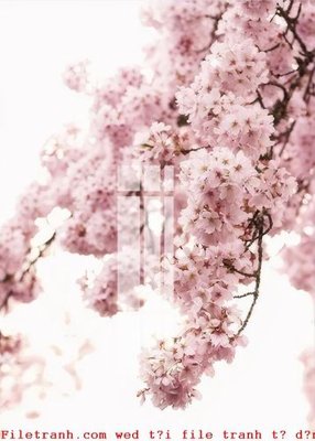 File PSD File gốc in tranh tổng hợp K50665 (bản gốc) độ phân giải cao