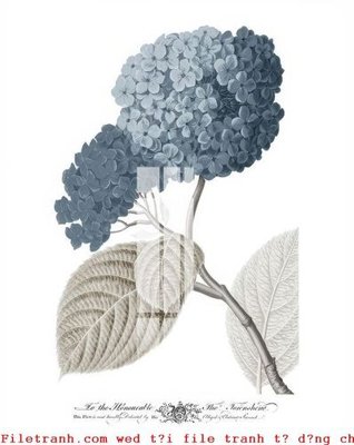 Tải file gốc File gốc in tranh tổng hợp K50760 dùng cho in ấn