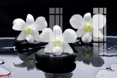 File ảnh File gốc in tranh tổng hợp K5147 (gốc) in PP, decal