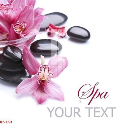 File in mica File gốc in tranh tổng hợp K5153 (bản gốc) làm vách ngăn