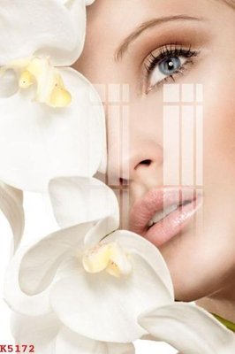 Tải file File gốc in tranh tổng hợp K5172 (gốc) in nhanh