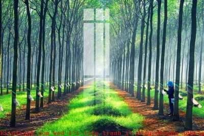 File tranh in trần File gốc in tranh tổng hợp K51818 (ảnh gốc siêu nét)