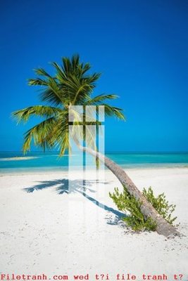 File tranh in trần File gốc in tranh tổng hợp K51862 (ảnh gốc siêu nét)