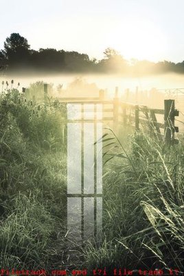 Tải file File gốc in tranh tổng hợp K51943 (ảnh gốc) in gạch men