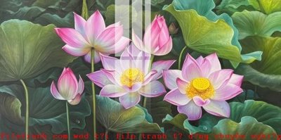 File in trần File gốc in tranh tổng hợp K52092 (bản gốc) bầu trời