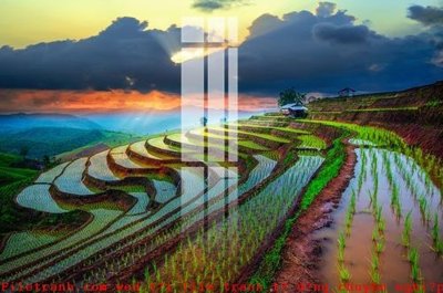 File PSD File gốc in tranh tổng hợp K52338 (bản gốc) dễ dàng edit