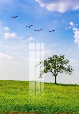 File gốc File gốc in tranh tổng hợp K52351 (in 3D) cho trang trí