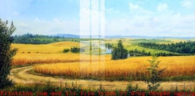 File in mica File gốc in tranh tổng hợp K52984 (bản gốc) làm vách ngăn