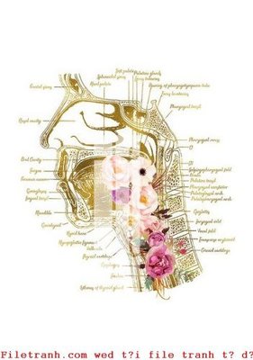File tranh File gốc in tranh tổng hợp K53066 (gốc) chủ đề trừu tượng