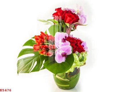 File gốc File gốc in tranh tổng hợp K5476 (trang trí) phòng trẻ em