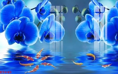 File in mica File gốc in tranh tổng hợp K5645 (bản gốc) làm vách ngăn